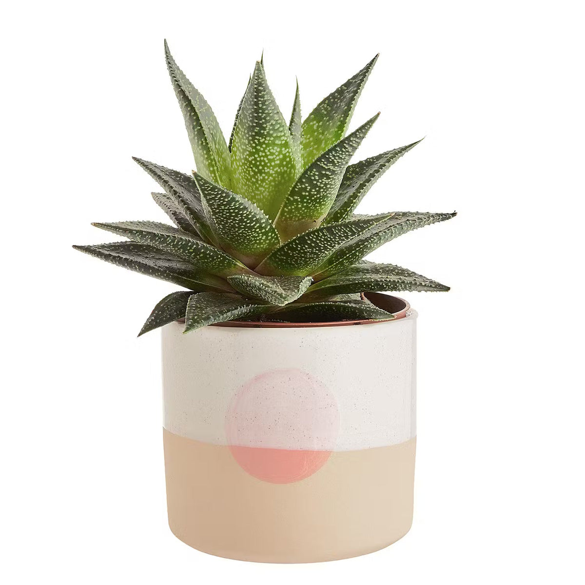 SUNSET Flower Pot